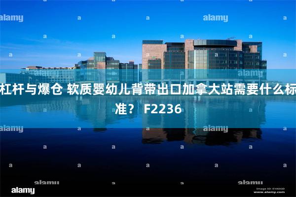 杠杆与爆仓 软质婴幼儿背带出口加拿大站需要什么标准？ F2236