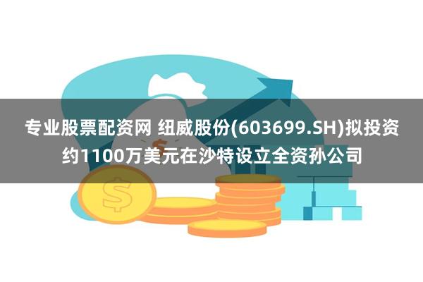 专业股票配资网 纽威股份(603699.SH)拟投资约110