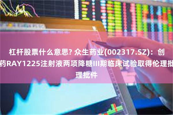 杠杆股票什么意思? 众生药业(002317.SZ)：创新药R